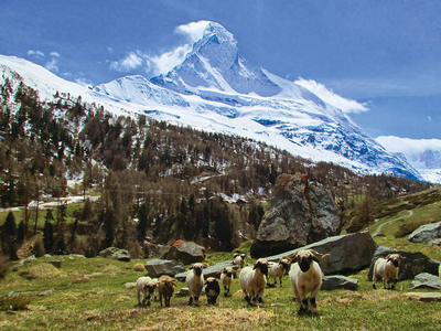 Switzerland: Matterhorns
