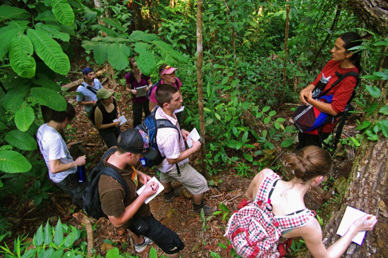 Field work in Costa Rican cloud forest